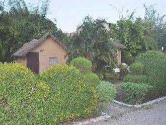 Wild Trail Resort, Kashipur 2